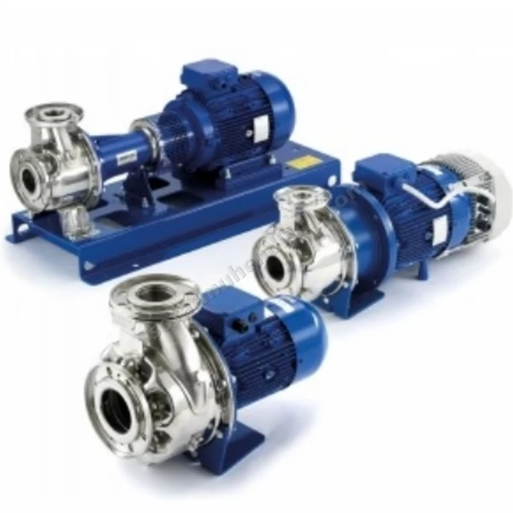 Eshe 65-160/55/P25Vsna