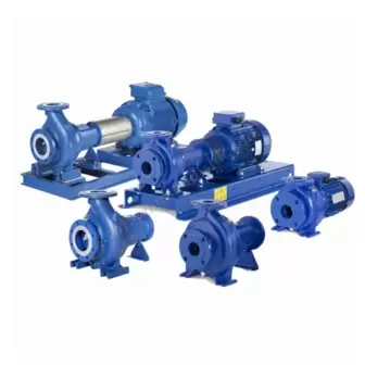 Nsce 40-125/15/S25Rcs4 resim 1