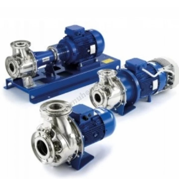 Eshs 65-160/55/P25Vsna